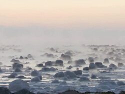 WS PAN Arctic landscape on shore of hudson bay ice and snow blowing / Churchill, Manitoba, Canada  Stock Footage