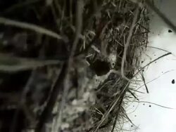 View from the ground as a massive explosion flips the camera around. Stock Footage