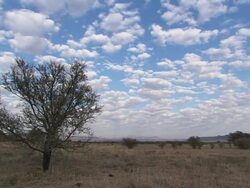 Clouds zoom by over the South African savanna. Stock Footage