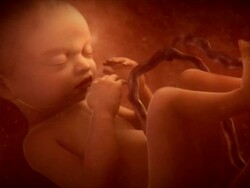 Male foetus moving in the womb. This foetus is at full term, and is ready to be born Stock Footage