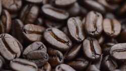 close-up rotation: coffee beans Stock Footage