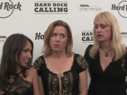Hard Rock Calling Stock Footage
