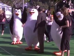 Los Angeles premiere of MADAGASCAR: ESCAPE 2 AFRICA Stock Footage