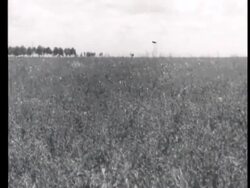 Russian Soviet Archival Footage 1898-1939 Stock Footage