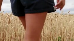 Hand of woman touching the wheat in field enjoying feeling Stock Footage
