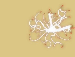 two growth animation Stock Footage