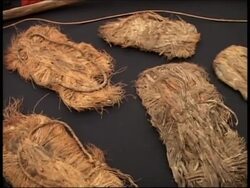 Archaeological pieces illegally removed are returned News Clip