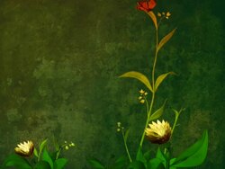 Flowers_green)PAL/NTSC) Stock Footage