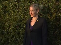 EVENT CAPSULE CLEAN:The Museum Of Contemporary Art, Los Angeles Presents 'Rebel', Los Angeles, CA, United States, 05/14/12 Stock Footage