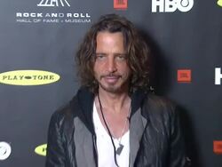 EVENT CAPSULE CLEAN - 28th Annual Rock and Roll Hall Of Fame Induction Ceremony - Arrivals, Los Angeles, CA, United States, 4/18/13 Stock Footage