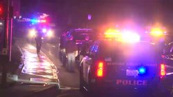 Gunman, 12 others dead in California bar shooting Instructional Video