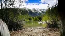Lakeshore with Mountain Stock Footage