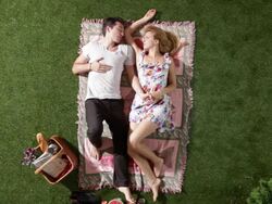 MS, Lockdown, couple in park, lying on a blanket and talking, overhead view Stock Footage