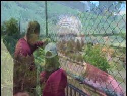 Rising floodwaters along the Mississippi River have forced Memphis' signature barbecue contest to move from the riverbank and led to more evacuations of homes in West Tennessee on Tuesday. News Clip