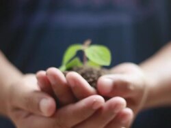 Man holding a little green plant Stock Footage