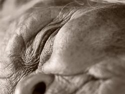 Senior Asian woman Stock Footage