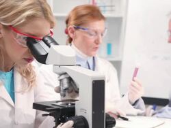 Scientists Researchers in a Laboratory Stock Footage