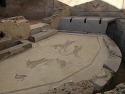 Piazza Armerina (villa Romana del Casale), small latrine (toilet), mosaic with animals figures Stock Footage