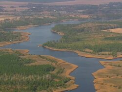 WS AERIAL View of Trees and river / North Carolina, United States Stock Footage