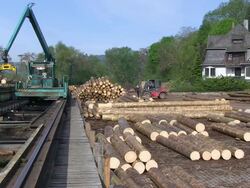 MS Log lift crane and forklift moving at lumberyard at saw mill / Schweich, Rhineland Palatinate, Germany Stock Footage