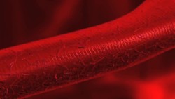 Endotherms Instructional Video