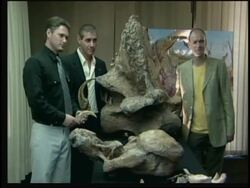 Skeleton of new species of Patagonian dinosaur unearthed News Clip