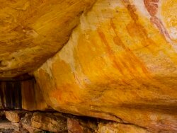 Elephant and human figures, Salmanslaagte Bushman Rock Art Trail Stock Footage