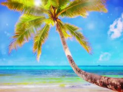 Dream beach Stock Footage