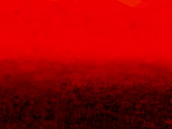 series transcendental fields : from horizon, bright (TRANSITION) Stock Footage