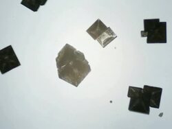 Crystallizing Stock Footage