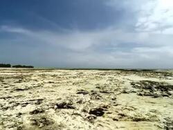 Panoramic view of beach with low tide Stock Footage
