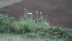 Portugal Aï¿½ores Sï¿½o Miguel trator Stock Footage