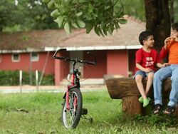 Two boys eating chocolate in a park  Stock Footage