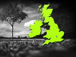 Tree Disease Discovered in 6 New Counties News Clip