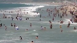 Hammer (no subtitles) Instructional Video