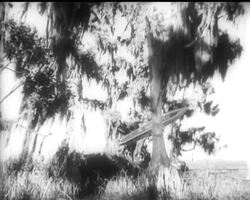 LEAPING BOATS News Clip