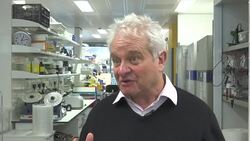 British Manufacturing rebounds strongly post-BREXIT but UK's senior scientists warn of a detrimental impact on funding, innovation and development News Clip