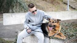 Man with the dog Stock Footage