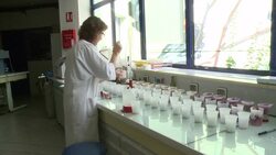 CLEAN : French winemakers hunt for climate change resistant grape News Clip