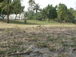 Course Stock Footage