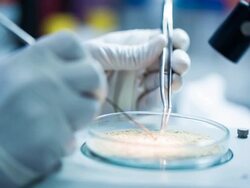 Scientist and bio lab experiment Stock Footage