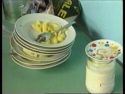 SERBIA: SERBS &amp; GYPSIES FIND SHELTER FROM NATO STRIKES News Clip