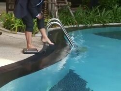 Pool Office Stock Footage