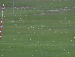 Golf field. Training and practicing facility. Stock Footage