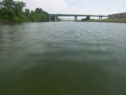 MS POV View of  wolf river / Memphis, Tennessee, United States Stock Footage