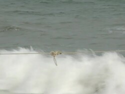 Close up of fishing net rope Stock Footage