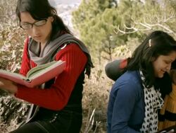 Young adult students using book and laptop in natural environment Stock Footage