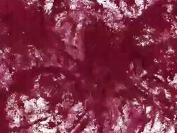 SPHERE - pastel rose : chaos, white back (TRANSITION) Stock Footage