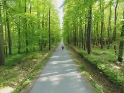 HD HELI: Jogging On A Road Through Forest Stock Footage
