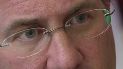 CLEAN : Welcome to Wels run by Austria's normal far right News Clip